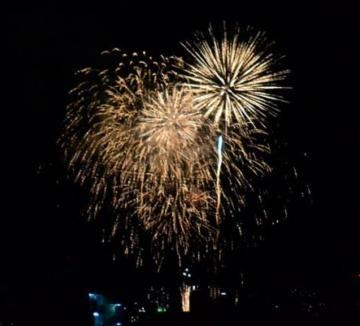 田端 今日はナンノ日