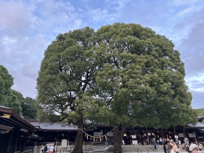 浅倉 浅倉のお休み日記♪