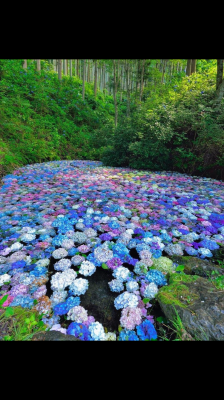 徳永 おはようございます