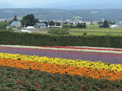 ゆりえ 完熟 ばなな 横浜 ゆりえです。