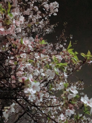 まなつ 雨の中でも…気高く出勤土曜日からに変更してます♡♡ごめんなさい