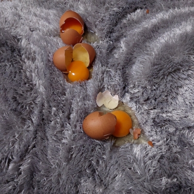 戸川 ❤鳥が卵を産み落とす？