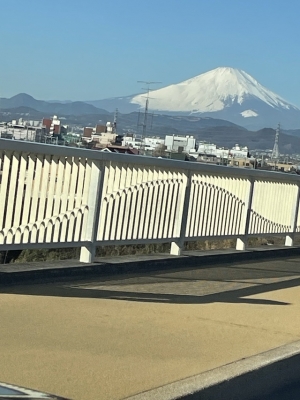 白砂-しらす 富士山