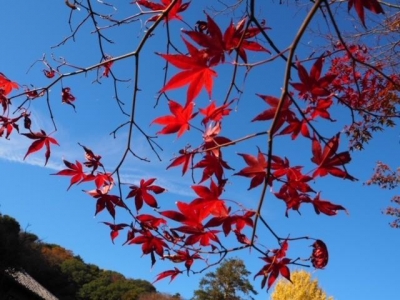 早川 明日出勤です