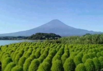 ようこ 完熟バナナ川崎店のようこです