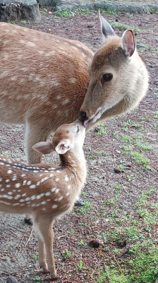 徳永 お疲れ様です