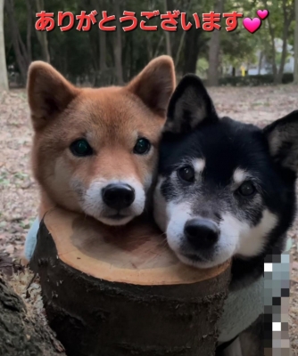 まりほ 昨日もありがとうございます❤️