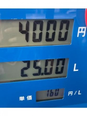 早乙女みれい 昔120円ですらニュースになってたよね