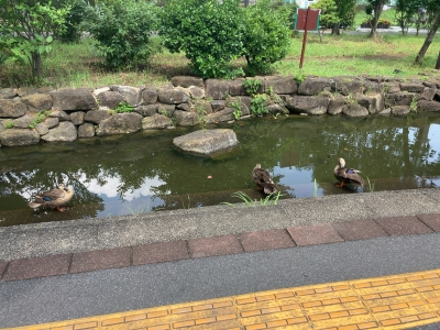 徳永 こんにちは❤️