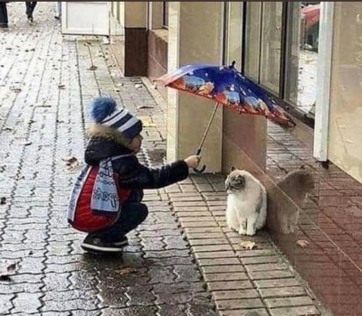 平林かおり おはようございます