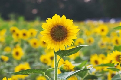 りま おはようございます☀