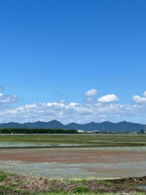 みつこ 素晴らしい！