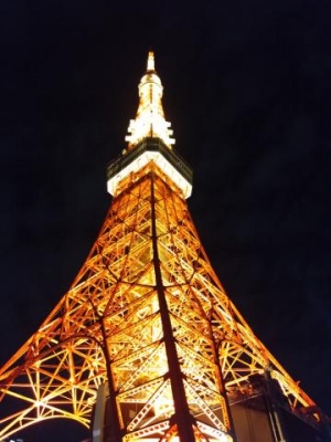 平野あや ドラマ東京タワー?