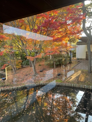 あやな 昨日は、紅葉狩り