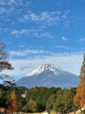 市川ともこ こんにちは