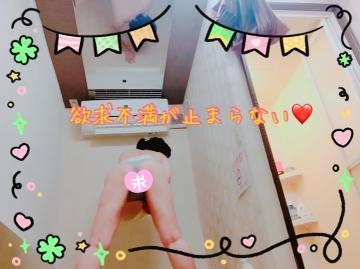 つぐみ 帰ってきましたー♡