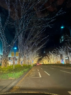 夏川るりこ 街はクリスマス?モード