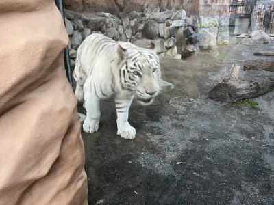 あいり 「縁」ってあるかと…。