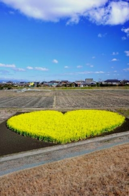 さな お礼！