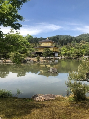 新木 お礼！