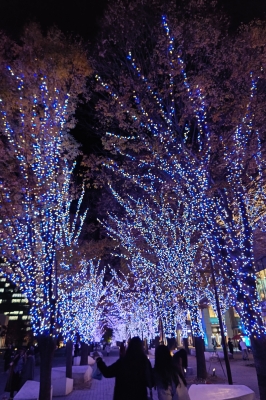 つきの[神奈川] クリスマスイブ