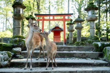 ひさこ 次回出勤日は、１０月１日です