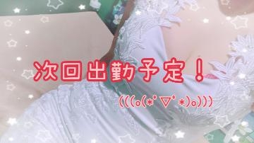 菜月ももこ ももこ次回出勤予定?