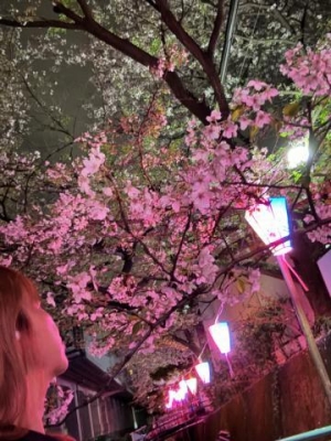 元木 夜桜楽しみながら