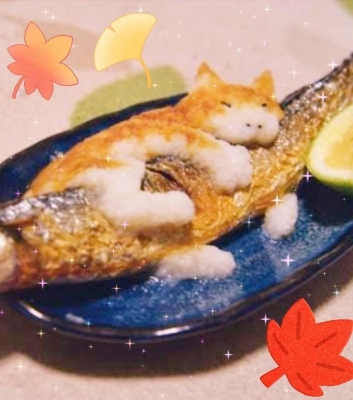 せりか 秋と言えば秋刀魚が美味しい季節