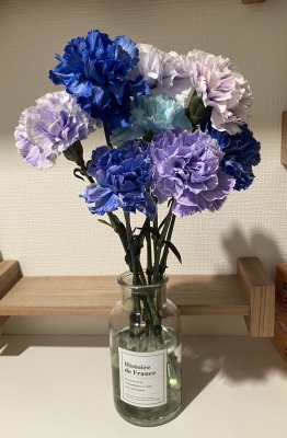 立花 涼しげ