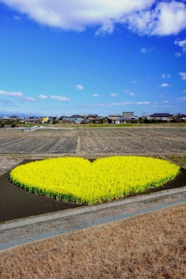 さな こんにちは