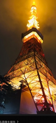 まい ドラマ　東京タワー
