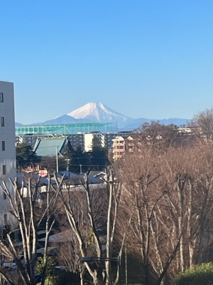 まい 今朝の富士山