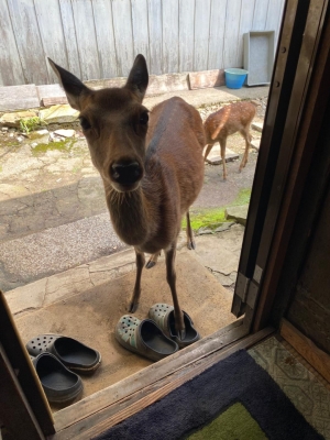 ひさこ 寒いね〜？？？