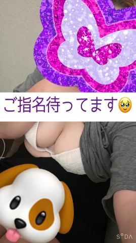 千葉 こんにちはྀི