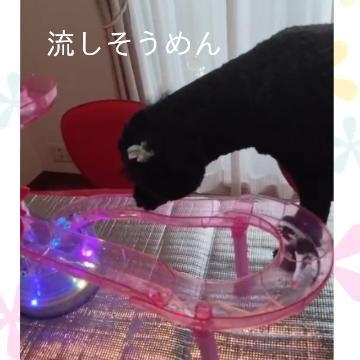 倉本 倉本です♪