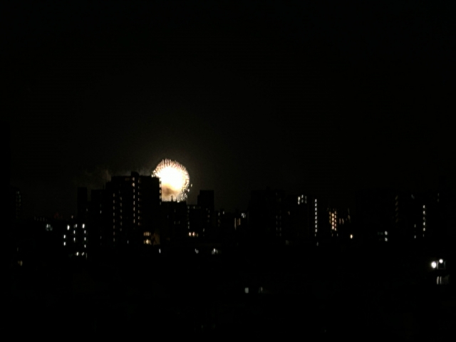 かずき 昨日の花火大会