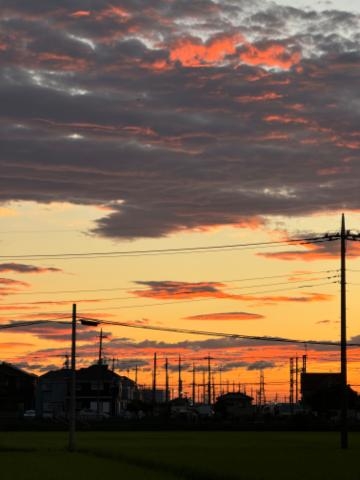 野島かのこ イマソラ?