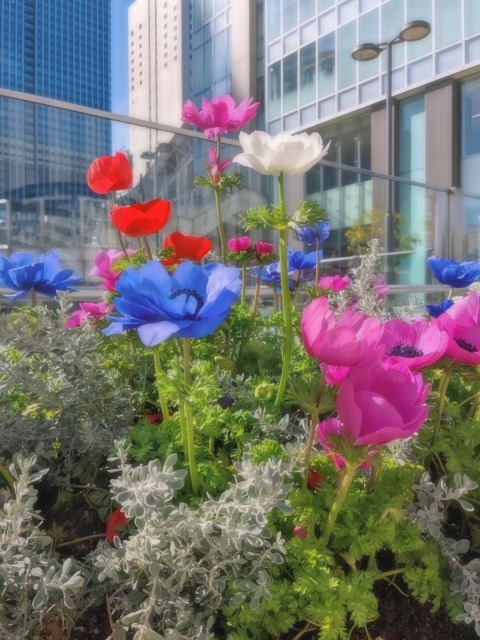 河原みさき おはようございます