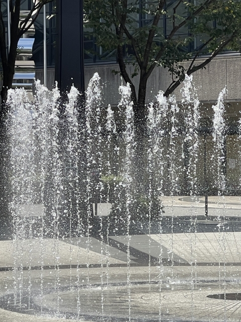 上田 今はもう･･･ ⛲️  ̖́-