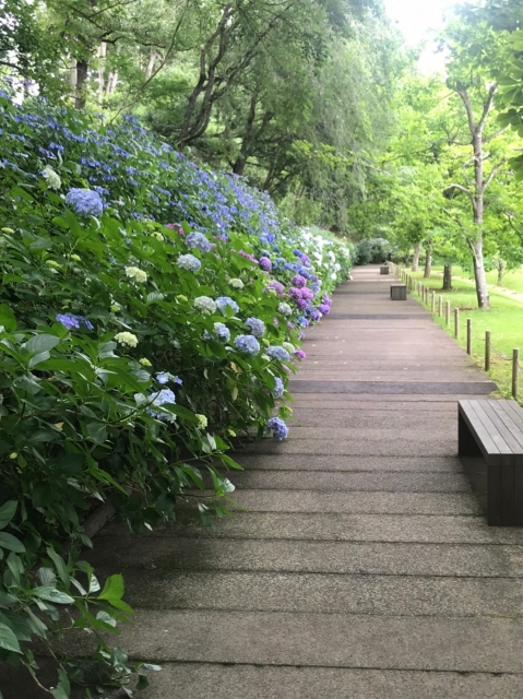 のどか (土)(日)❤️