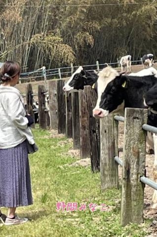 野間 みなこ 人間は競走馬ではありません♡