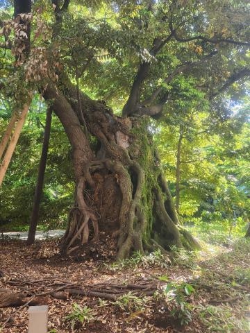 桃山 ５月16日♪今日は出勤♪