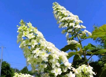 野上 おはようございます！