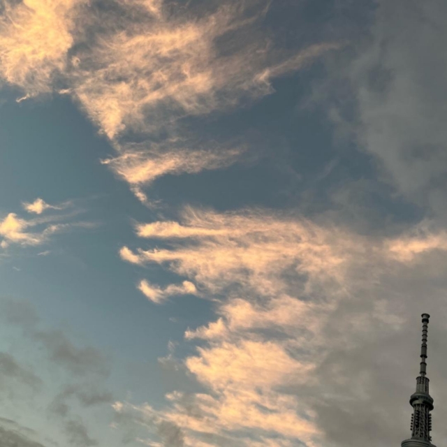 あいこ 秋空