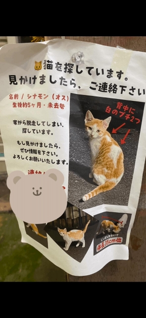 柊いろは ねこちゃん。。