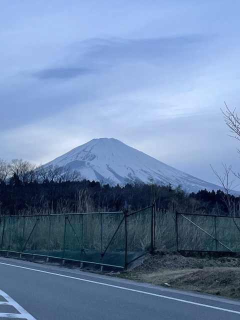 わかこ こんにちは