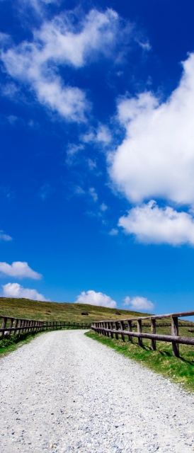 ゆきの お天気☀