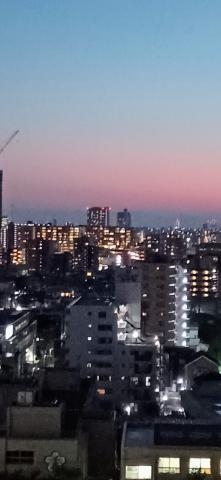 せりか 明日は口開け～空いてますよ