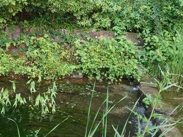 福入 のどかな風景が